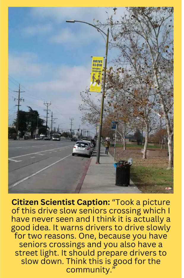 Citizen Scientist Caption: “Took a picture of this drive slow seniors crossing which I have never seen and I think it is actually a good idea. It warns drivers to drive slowly for two reasons. One, because you have seniors crossings and you also have a street light. It should prepare drivers to slow down. Think this is good for the community.”